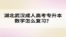 湖北武汉成人高考专升本数学怎么复习？