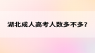 湖北成人高考人数多不多？