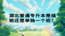 湖北普通专升本是插班还是单独一个班？