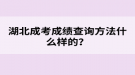 湖北成考成绩查询方法什么样的？