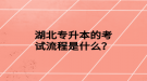 湖北专升本的考试流程是什么？