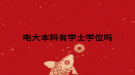 电大本科有学士学位吗