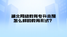 湖北网络教育专升本是怎么样的教育形式？