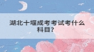 湖北十堰成考考试考什么科目？