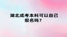 湖北成考本科可以自己报名吗？