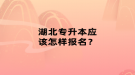 湖北专升本应该怎样报名？