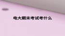 电大期末考试考什么