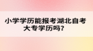 小学学历能报考湖北自考大专学历吗？