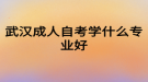 武汉成人自考学什么专业好