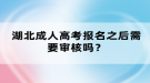 湖北成人高考报名之后需要审核吗？