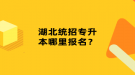 湖北统招专升本哪里报名？