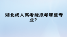 湖北成人高考能报考哪些专业？