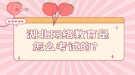 湖北网络教育是怎么考试的？