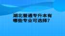 湖北普通专升本有哪些专业可选择？