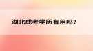 湖北成考学历有用吗？