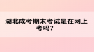 湖北成考期末考试是在网上考吗？