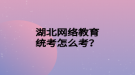 湖北网络教育统考怎么考？