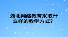 湖北网络教育采取什么样的教学方式？