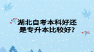 湖北自考本科好还是专升本比较好?