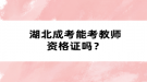 湖北成考能考教师资格证吗？