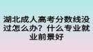 湖北成人高考分数线没过怎么办？什么专业就业前景好
