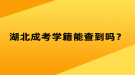 湖北成考学籍能查到吗？