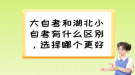 大自考和湖北小自考有什么区别，选择哪个更好？