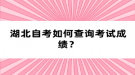 湖北自考如何查询考试成绩？