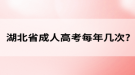 湖北省成人高考每年几次?