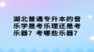 湖北普通专升本的音乐学是考乐理还是考乐器？考哪些乐器？