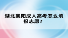 湖北襄阳成人高考怎么填报志愿？