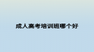 成人高考培训班哪个好