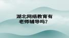 湖北网络教育有老师辅导吗？