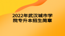 2022年武汉城市学院专升本招生简章