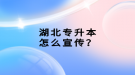 湖北专升本怎么宣传？