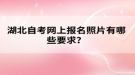 湖北自考网上报名照片有哪些要求？