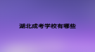 湖北成考学校有哪些