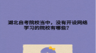 湖北自考院校当中，没有开设网络学习的院校有哪些？