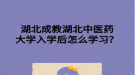 湖北成教湖北中医药大学入学后怎么学习？