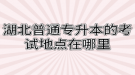 湖北普通专升本的考试地点在哪里