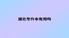 湖北专升本有用吗