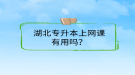 湖北专升本上网课有用吗？
