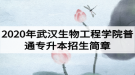 2020年武汉生物工程学院普通专升本招生简章