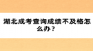 湖北成考查询成绩不及格怎么办？