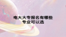 电大大专报名有哪些专业可以选