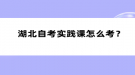 湖北自考实践课怎么考？