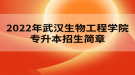 2022年武汉生物工程学院专升本招生简章