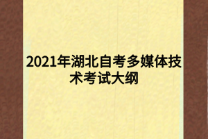 2021年湖北自考多媒体技术考试大纲
