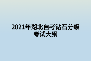 2021年湖北自考钻石分级考试大纲