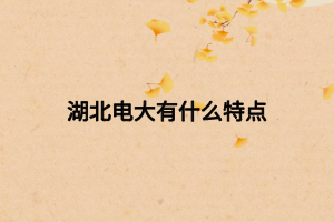 湖北电大有什么特点